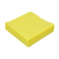 Multi purpose cleaning cloth dish cloth